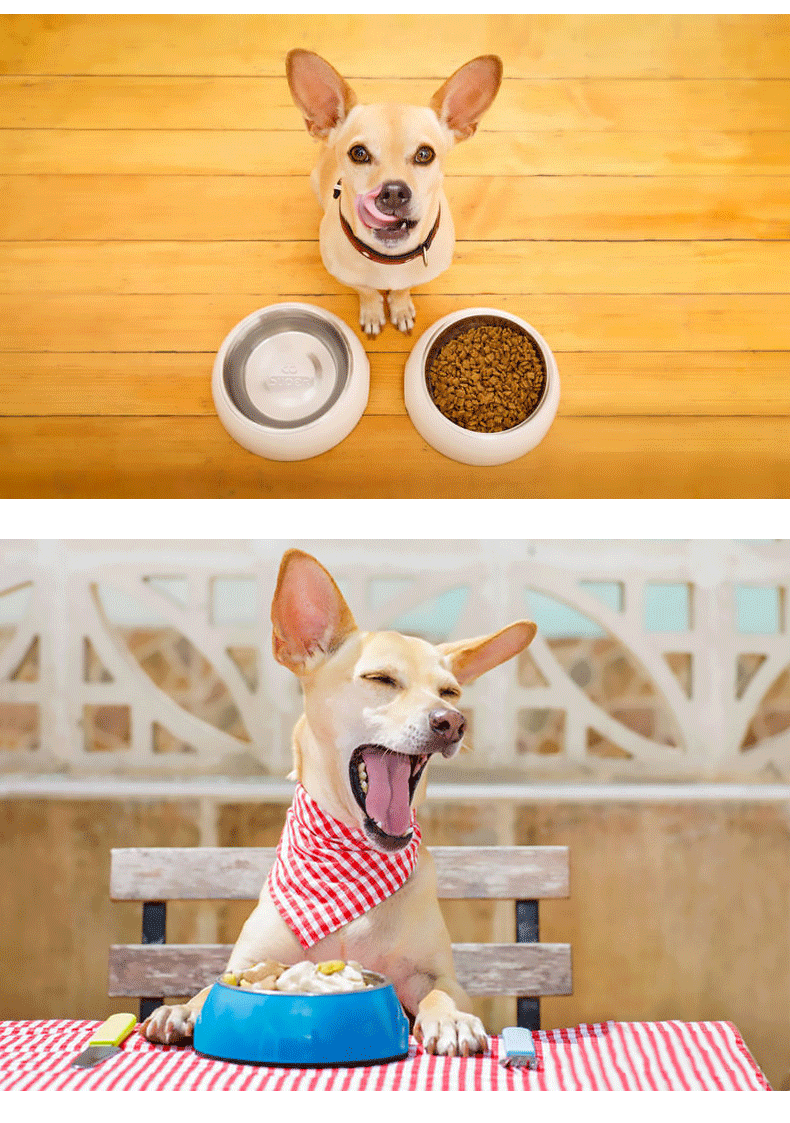 Pet Bowl Dog Bowl Cat Bowl Pet Supplies Dog Food Bowl Cat Bowl Melamine Stainless Steel Dog Bowl Classic Round Bowl