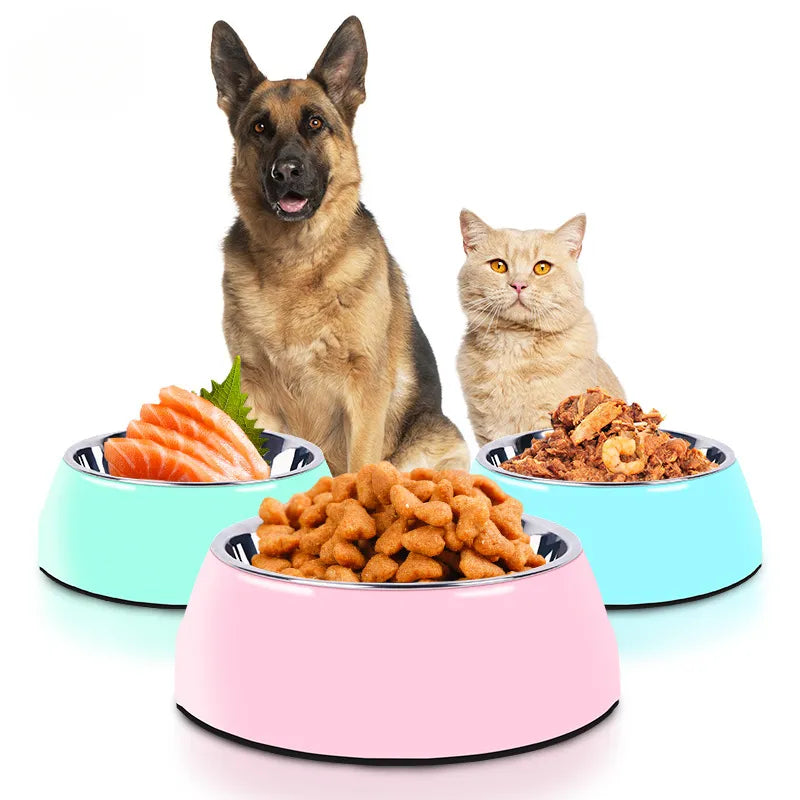 pet food bowl