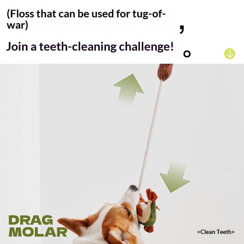 [Pet_Dog Teaser Stick] Dog Toy Chew Sound Puppy Boredom Relief Self-Entertainment Artifact Puppy Supplies