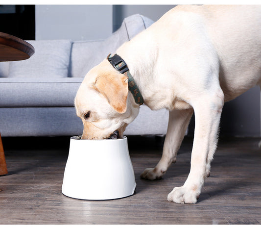 Dog Bowl Dog Food Bowl Pet Food Bowl Dog Food Bowl Protects Neck Anti-Spill High Bowl for Medium and Large Dogs