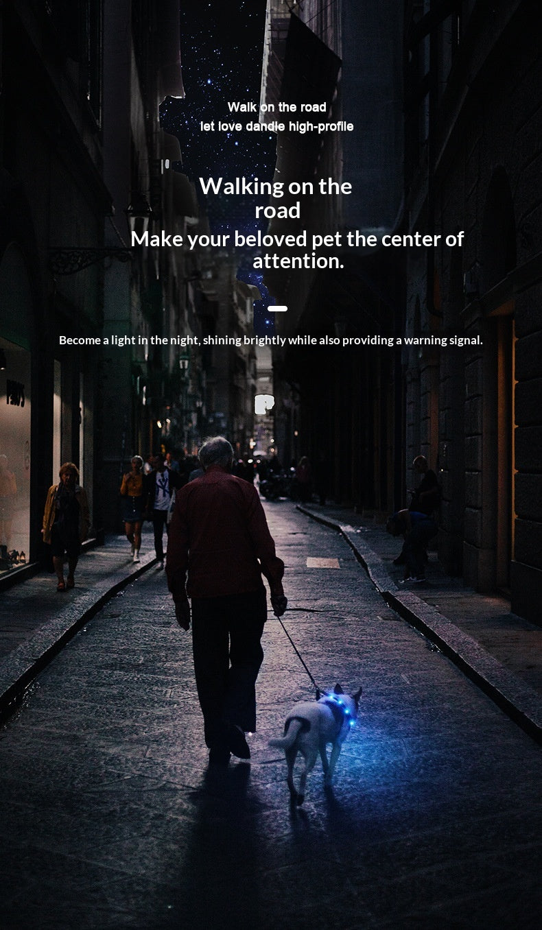 LED Light-Up Pet Collar Dog Leash Light-Up Collar USB Rechargeable Teddy Golden Retriever Dog Night Light Collar Flashing Neckband Pet Collar