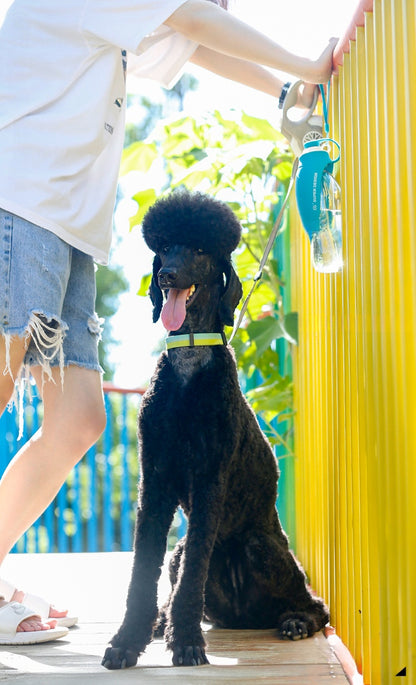 Pet Supplies Cat and Dog Outdoor Portable Water Bottle Drinking Device Pet Water Feeder Drinking Artifact