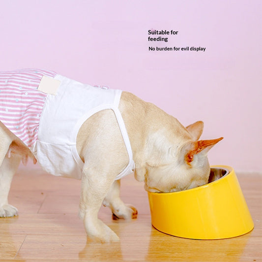 Tilt Dog Bowl Cat Bowl Pet Supplies Stainless Steel Double Layer Dog Bowl Cat Bowl Dog Cat Food Bowl Dog Pet Bowl